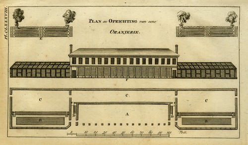 Antique print orangery - antique, print-orangery