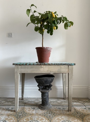 French antique orangery - antique,